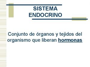 SISTEMA ENDOCRINO Conjunto de rganos y tejidos del