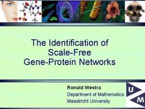 The Identification of ScaleFree GeneProtein Networks Ronald Westra