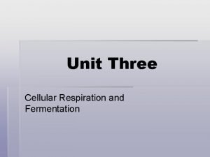 Unit Three Cellular Respiration and Fermentation Overview Life