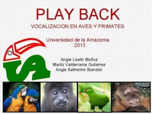 Playback aves