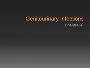 Genitourinary Infections Chapter 26 Normal Microbiota of Genitourinary