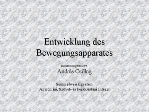 Entwicklung des Bewegungsapparates zusammengestellt v Andrs Csillag Semmelweis