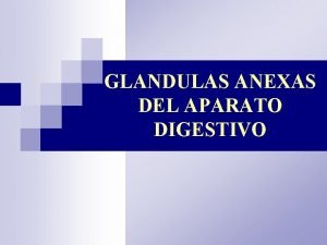 Las 3 glandulas anexas Las 3 glandulas anexas