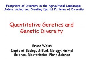 Footprints of Diversity in the Agricultural Landscape Understanding