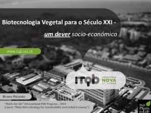 Biotecnologia Vegetal para o Sculo XXI um dever