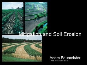 Mitigation and Soil Erosion Adam Baumeister ESS 315