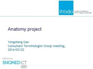 Anatomy project Yongsheng Gao Consultant Terminologist Group meeting