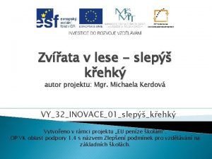 Slepyš