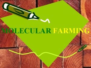 MOLECULAR FARMING INTRODUCTION Biotechnology in agriculture has two