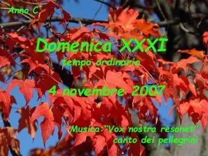 Anno C Domenica XXXI tempo ordinario 4 novembre