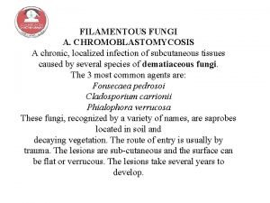 FILAMENTOUS FUNGI A CHROMOBLASTOMYCOSIS A chronic localized infection