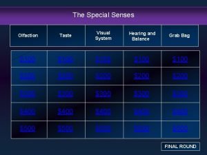 The Special Senses Olfaction Taste Visual System Hearing