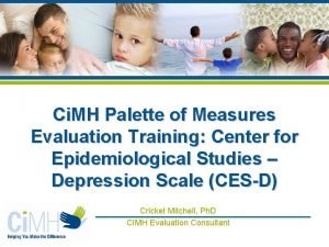 Ci MH Palette of Measures Evaluation Training Center