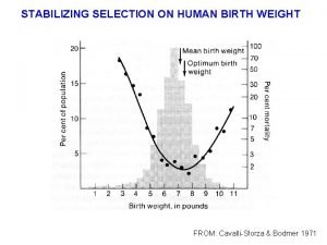 STABILIZING SELECTION ON HUMAN BIRTH WEIGHT FROM CavalliSforza