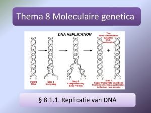 Thema 8 Moleculaire genetica 8 1 1 Replicatie