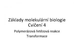 Zklady molekulrn biologie Cvien 4 Polymerzov etzov reakce