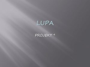 LUPA PROJEKT 4 Lupa Skld se z jedn