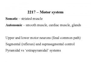 2217 Motor system Somatic striated muscle Autonomic smooth