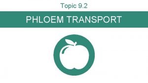Topic 9 2 PHLOEM TRANSPORT Topic Outline Active