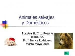 Animales salvajes y Domsticos Por Ana H Cruz