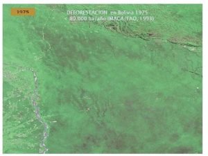 las especies desaparecen Notomys amplus extinguido en 1896