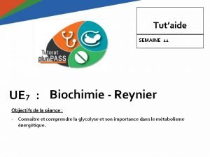 Tutaide SEMAINE 11 UE 7 Biochimie Reynier Objectifs