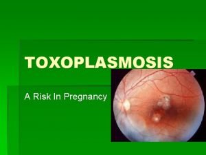TOXOPLASMOSIS A Risk In Pregnancy What is Toxoplasmosis