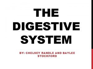 THE DIGESTIVE SYSTEM BY CHELSEY RANDLE AND BAYLEE