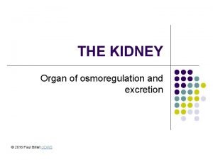 Osmoregulation