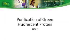 Purification of Green Fluorescent Protein NBC 2 Biomanufacturing