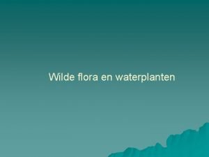 Wilde flora