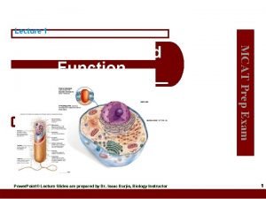 Lecture 1 Power Point Lecture Slides are prepared