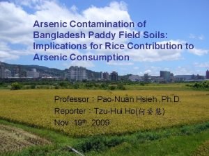 Arsenic Contamination of Bangladesh Paddy Field Soils Implications