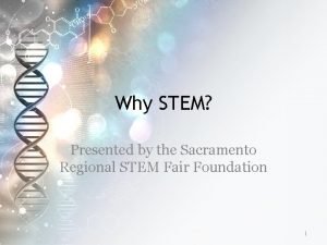 Sac stem fair