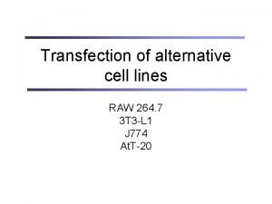 Transfection of alternative cell lines RAW 264 7
