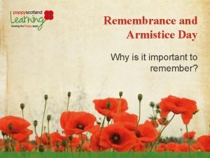 Remembrance and Armistice Day Why is it important