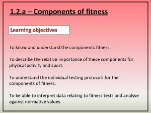 Physical fitness components of stork balance