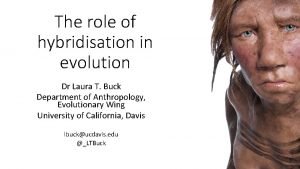 The role of hybridisation in evolution Dr Laura