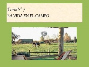 La vida en el campo