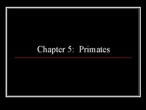 Chapter 5 Primates What is a Primate First