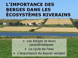 LIMPORTANCE DES BERGES DANS LES COSYSTMES RIVERAINS Les