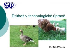 Drbe v technologick prav Bc Daniel Vanura Charakteristika