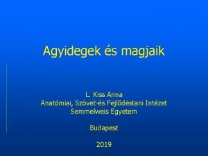 Agyidegmagok