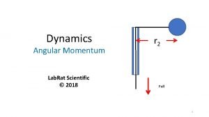Dynamics Angular Momentum Lab Rat Scientific 2018 r
