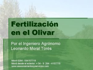 Fertilizacin en el Olivar Por el Ingeniero Agrnomo