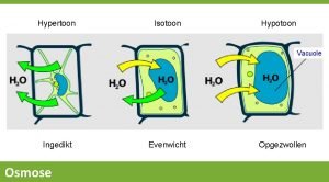 Hypertonisch hypotonisch isotonisch