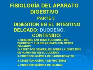 Histologia duodeno