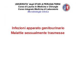 UNIVERSITA degli STUDI di PERUGIATERNI Corso di Laurea