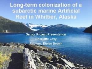 Longterm colonization of a subarctic marine Artificial Reef