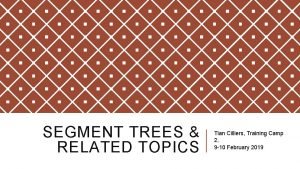 SEGMENT TREES RELATED TOPICS Tian Cilliers Training Camp